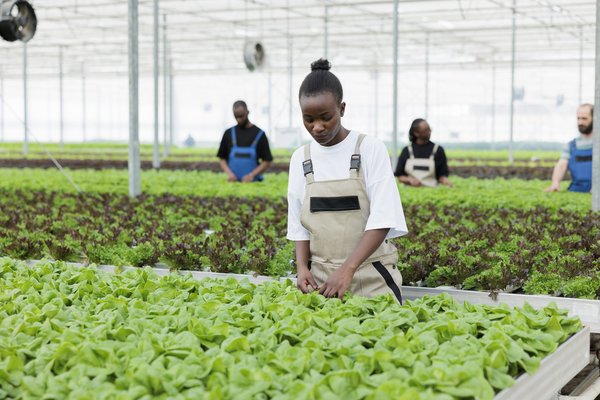 La prise de décision en milieu de travail : méthodes efficaces