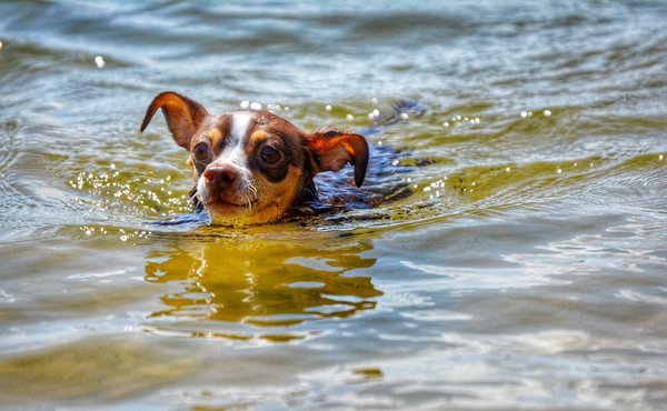 Le bénévolat : pourquoi et comment commencer ?