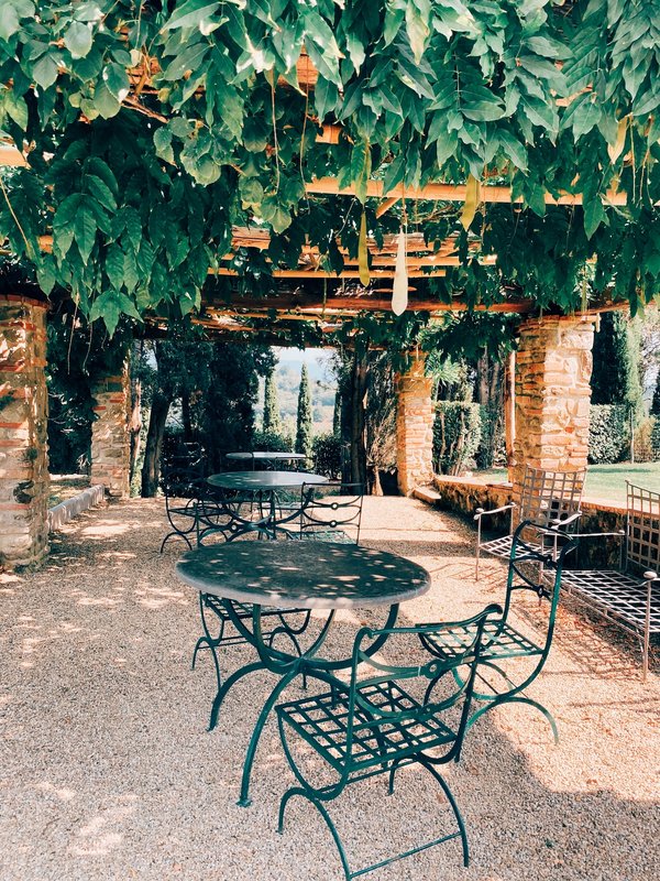 Pergola végétale : quelle plante choisir ?